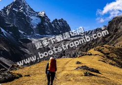 满冠体育为您提供专业、贴心的服务体验。 - 满冠体育